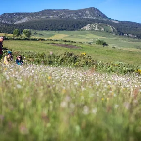 Feriehus Atypique A *